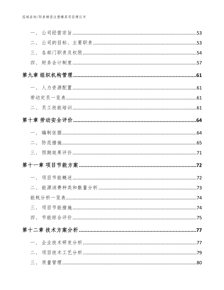 阳泉精密注塑模具项目建议书_范文模板_第4页