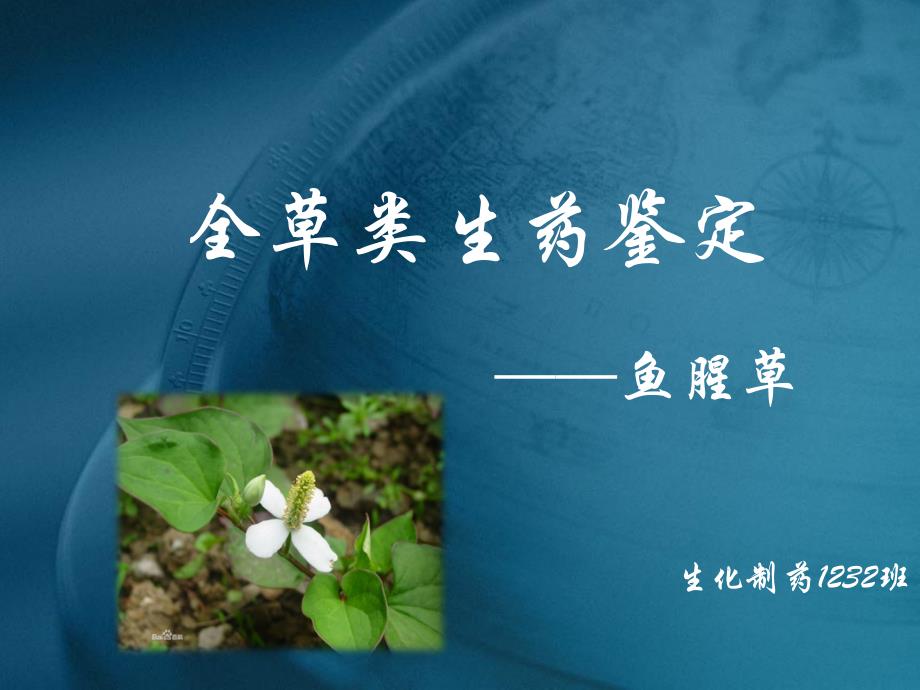 全草类生药ppt课件_第1页