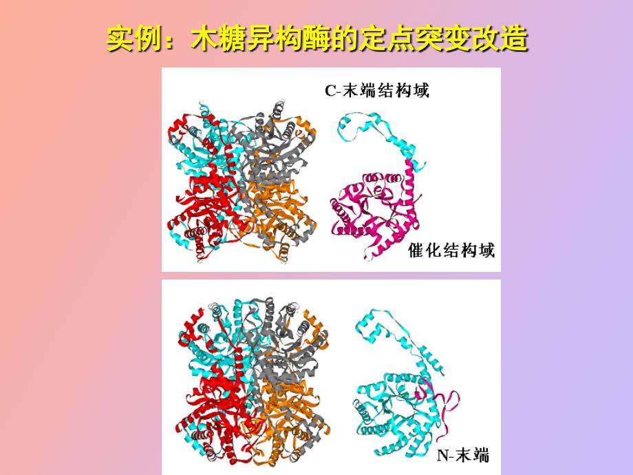 酶的生物改造_第4页