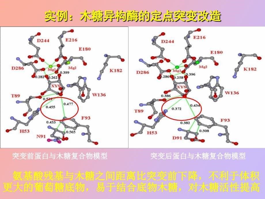 酶的生物改造_第5页