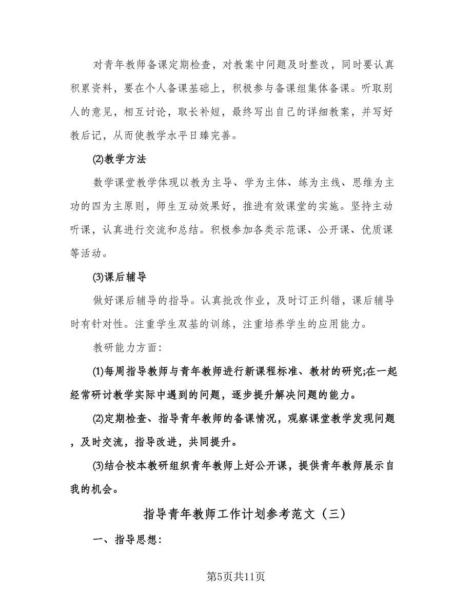 指导青年教师工作计划参考范文（四篇）.doc_第5页