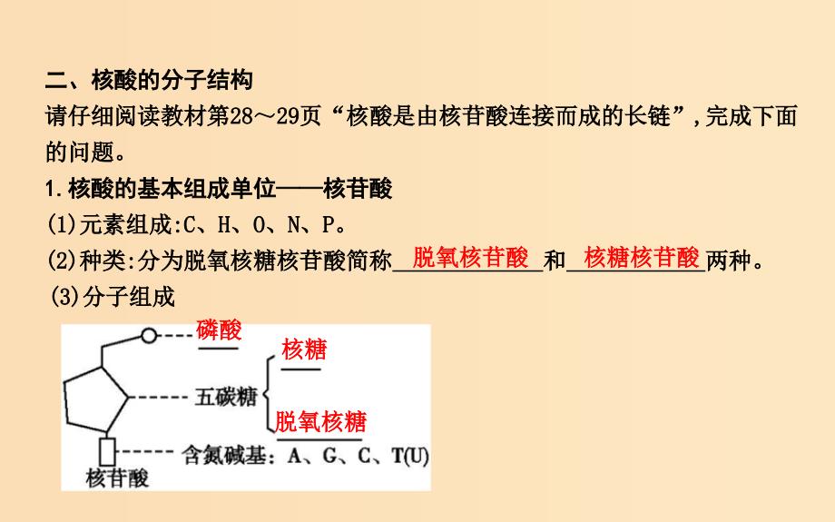 2018版高中生物第2章组成细胞的分子第3节遗传信息的携带者-核酸课件新人教版必修1 .ppt_第4页