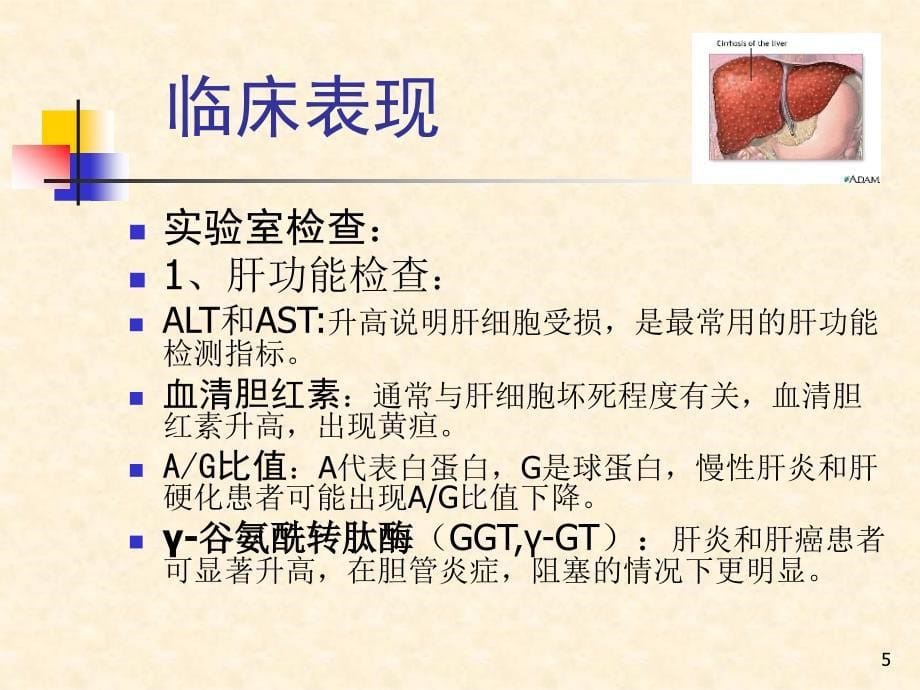 乙肝病人的护理疾病查房_第5页