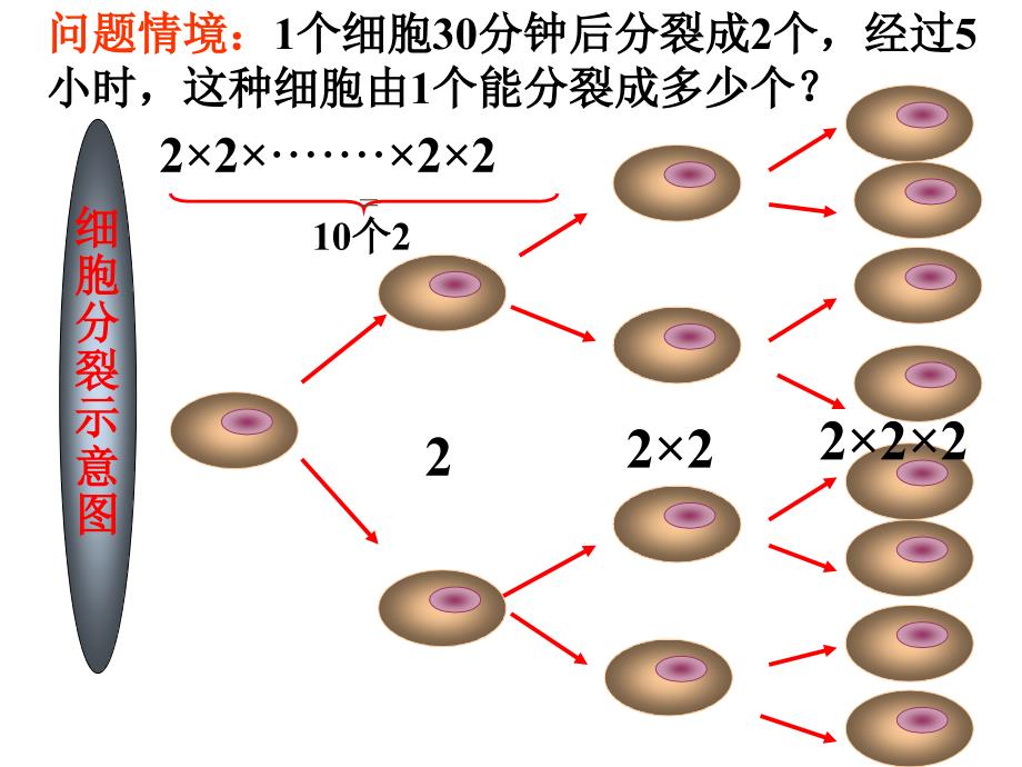 210有理数的乘方1修2版_第3页