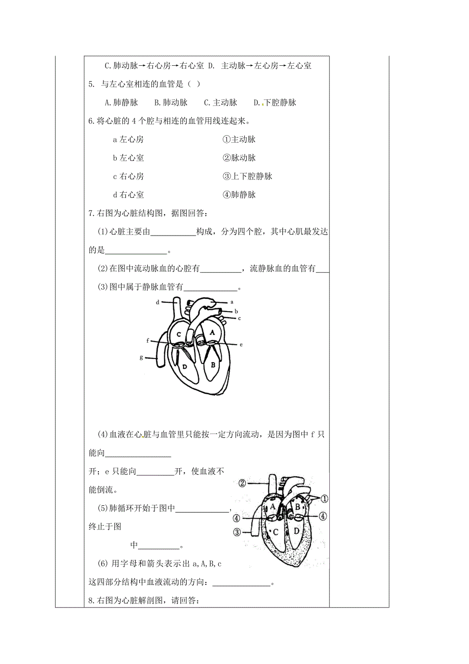 湖南省邵东县七年级生物下册4.3输送血液的泵心脏导学案无答案新版新人教版_第4页