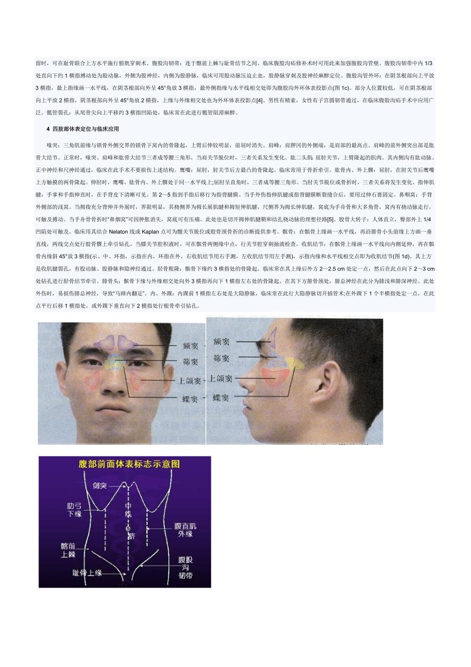 超级实用人体常用体表标志.doc_第2页