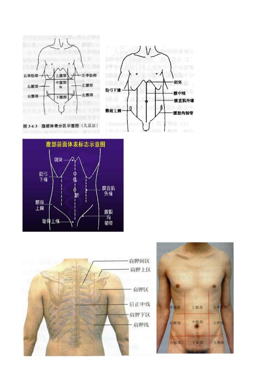 超级实用人体常用体表标志.doc_第4页