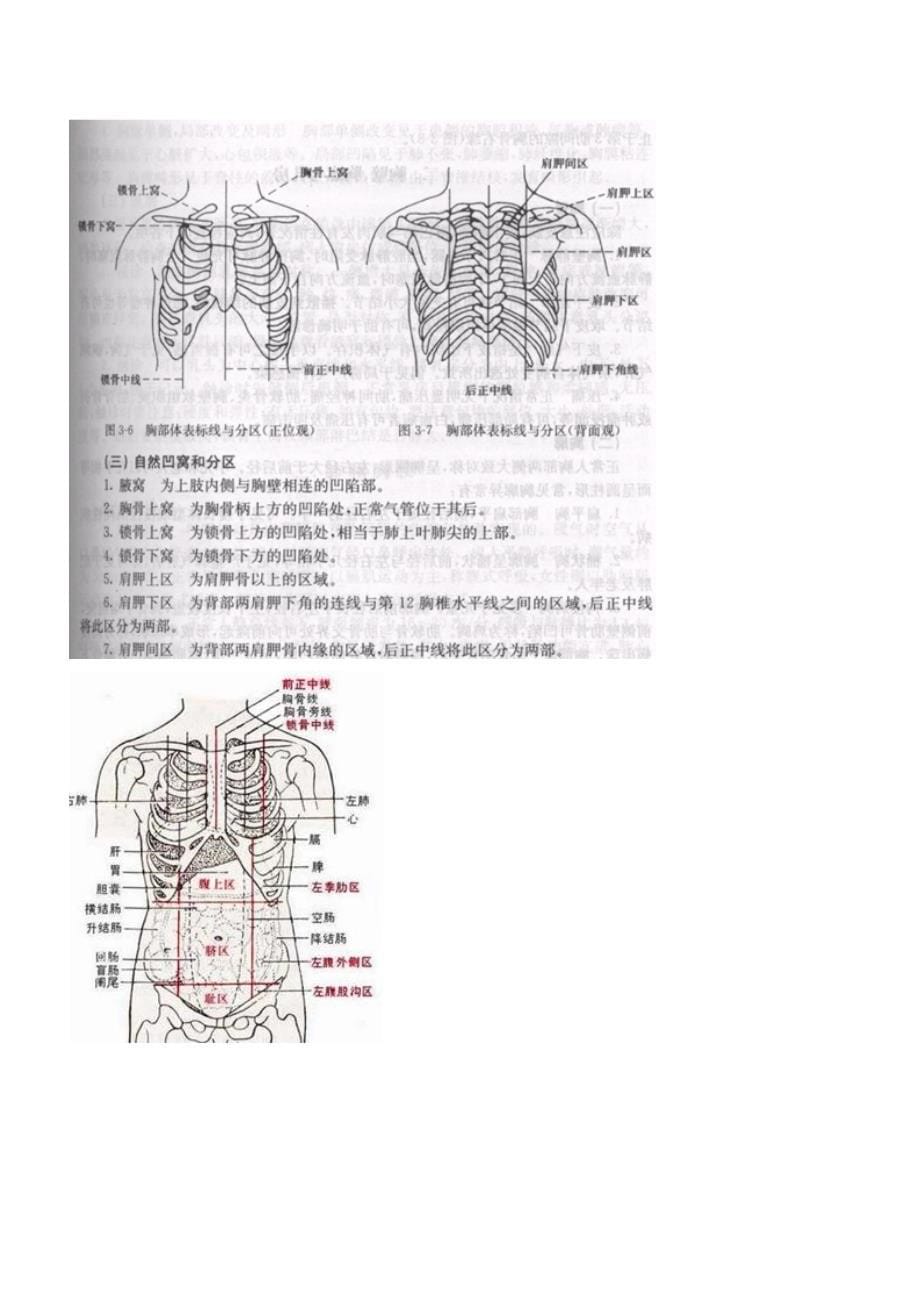 超级实用人体常用体表标志.doc_第5页