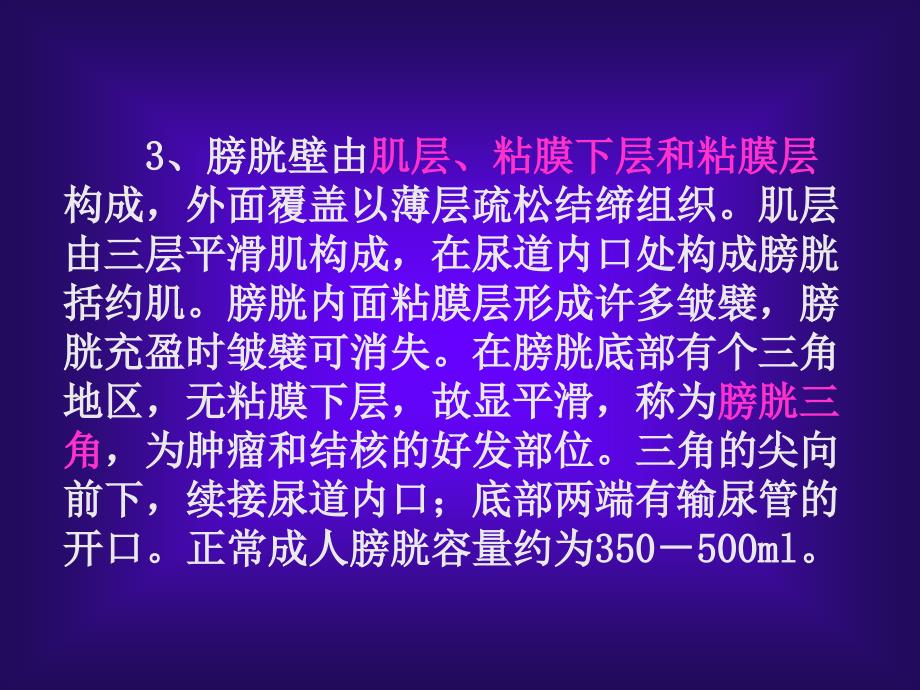 膀胱肿瘤的超声诊断及鉴别诊断_第4页