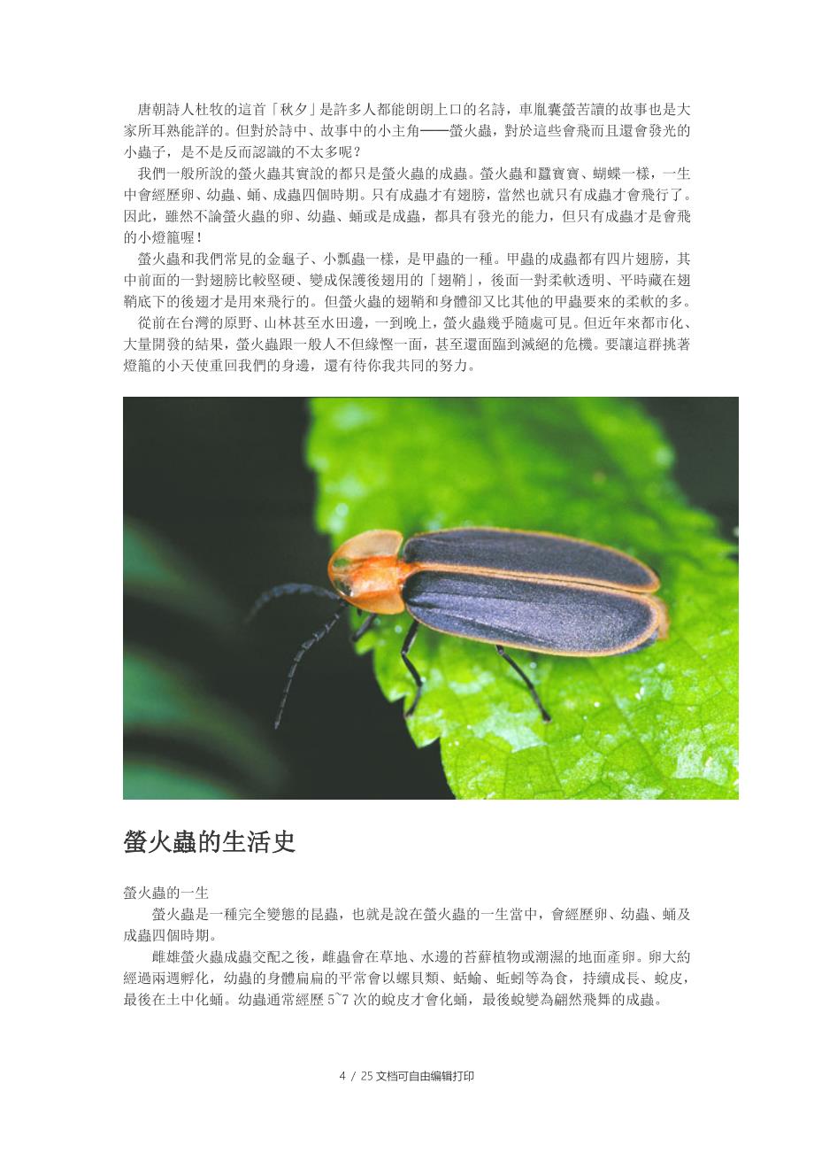 萤火虫养殖可行性分析报告_第4页