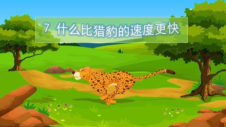 7什么比猎豹的速度更快_第5页