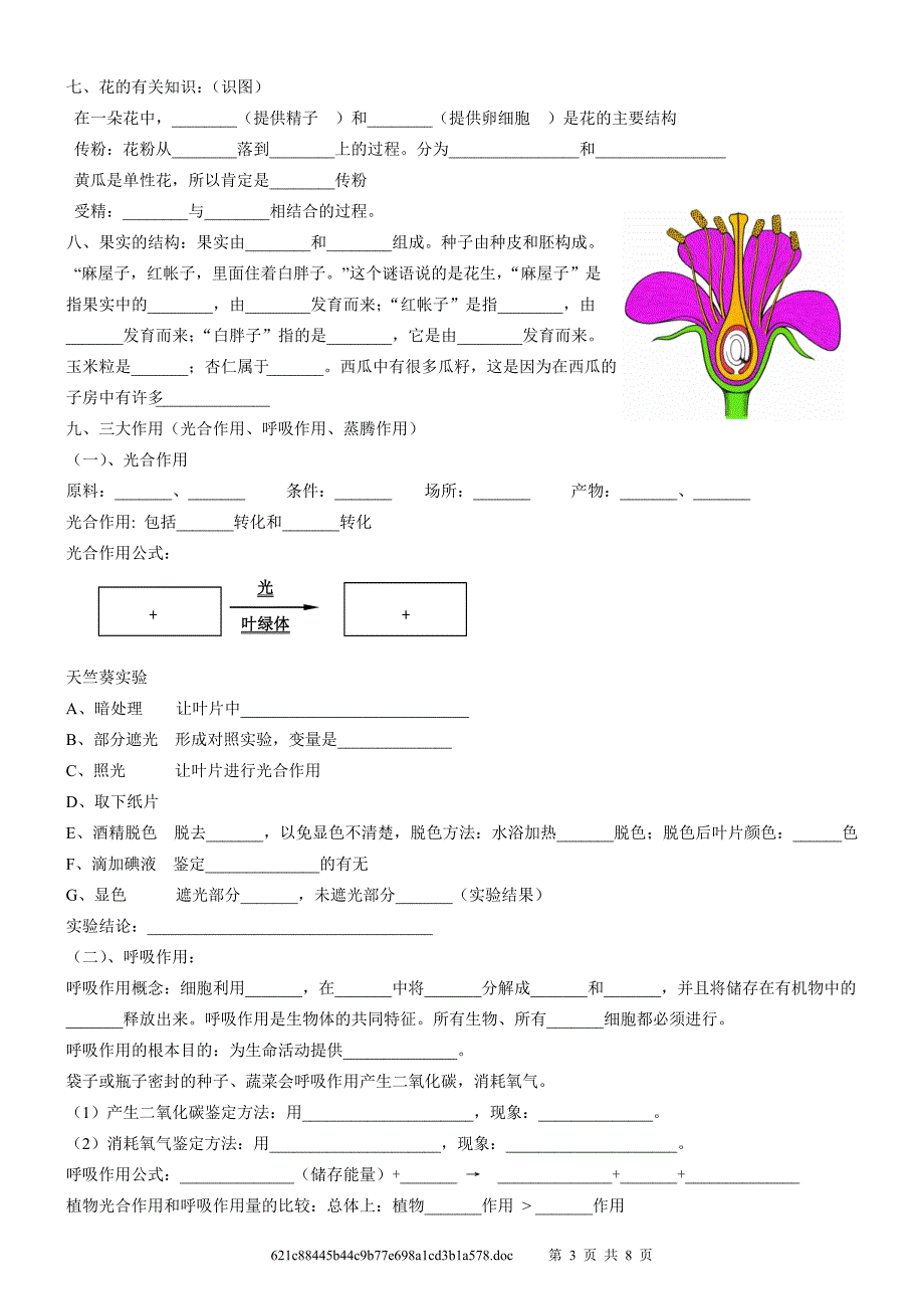 2013生物中考7年级知识点背诵不带答案(早读用)_第3页