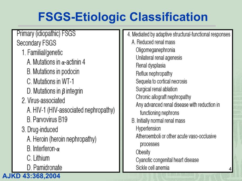 局灶节段增生硬化性肾炎FSGSppt课件_第4页