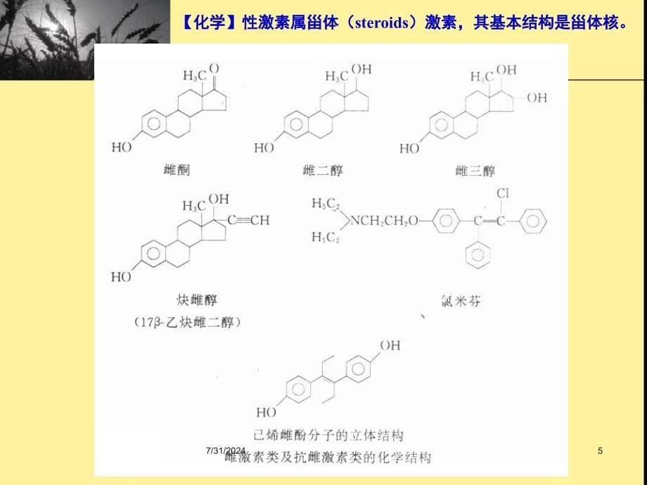 性激素类药物_第5页