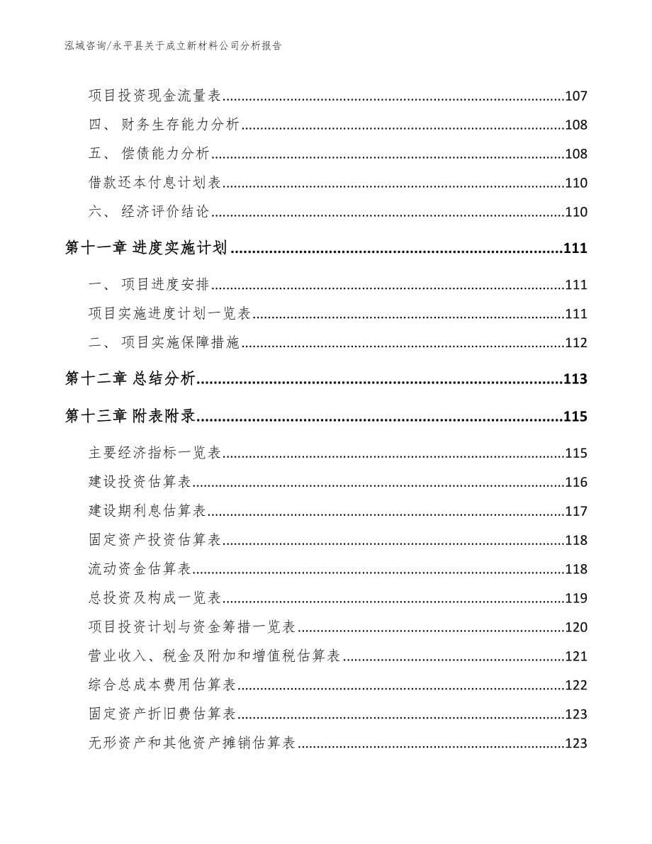 永平县关于成立新材料公司分析报告_模板范本_第5页