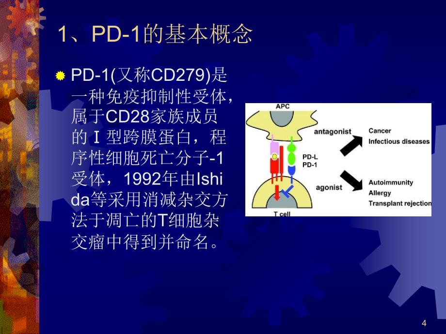 pd1和pdl1的研究进展修改ppt课件_第4页