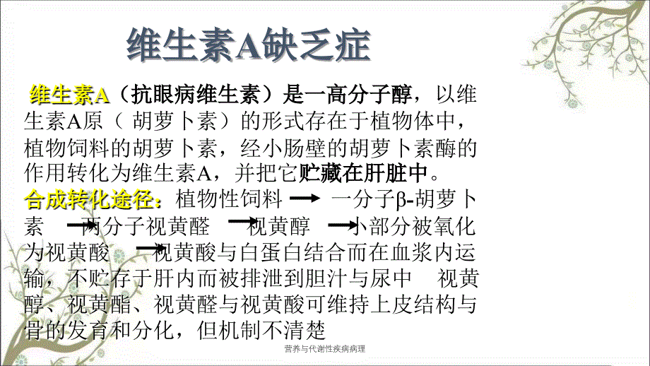 营养与代谢性疾病病理_第2页