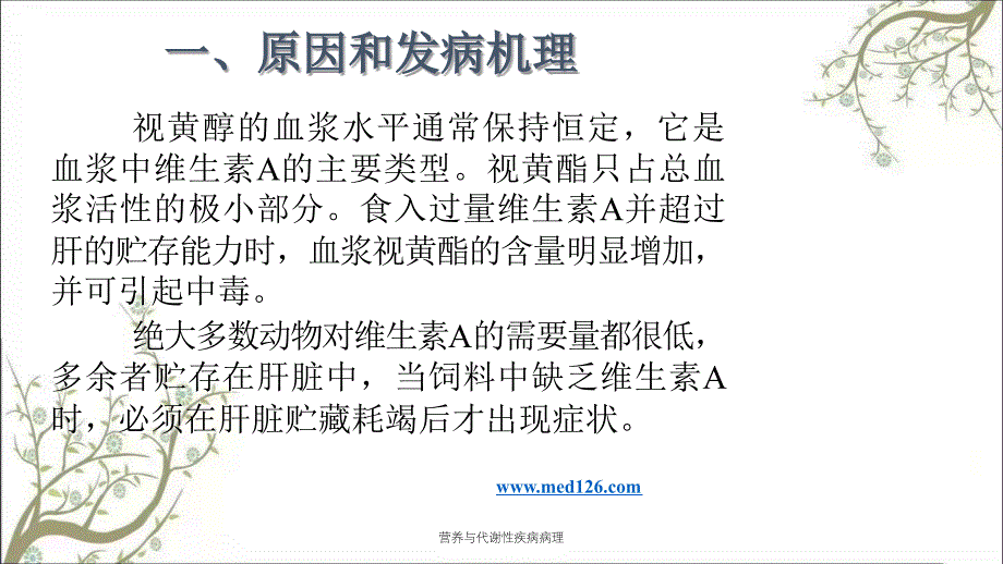 营养与代谢性疾病病理_第3页