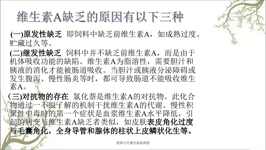 营养与代谢性疾病病理_第4页