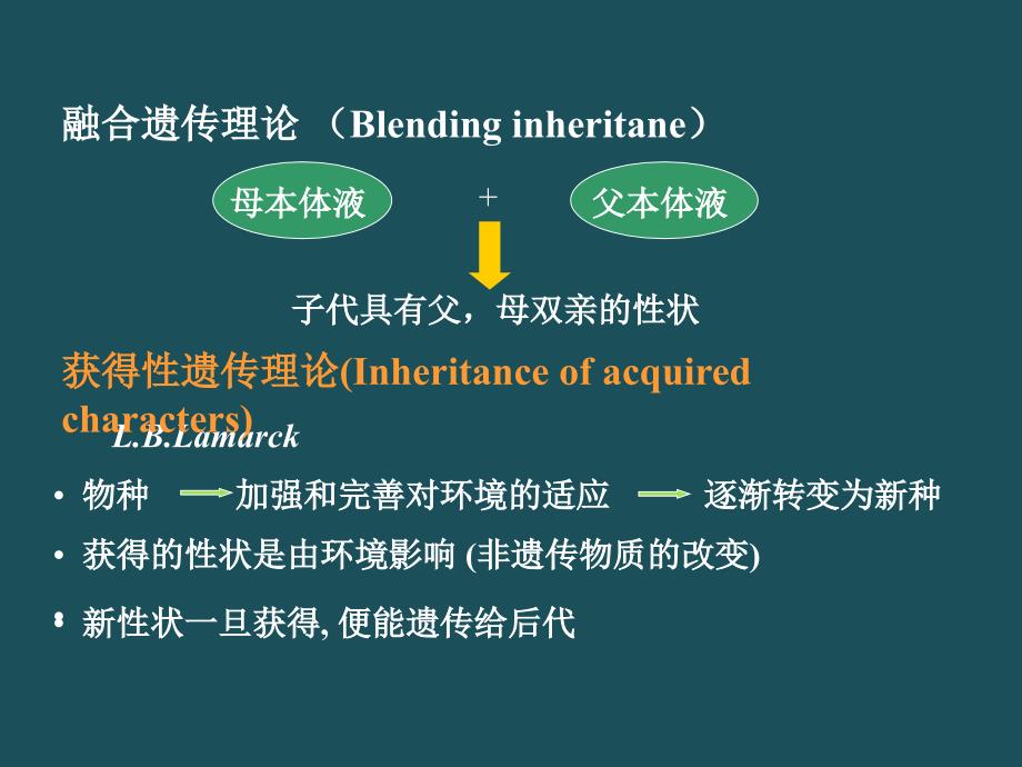 554核酸与基因ppt课件_第4页