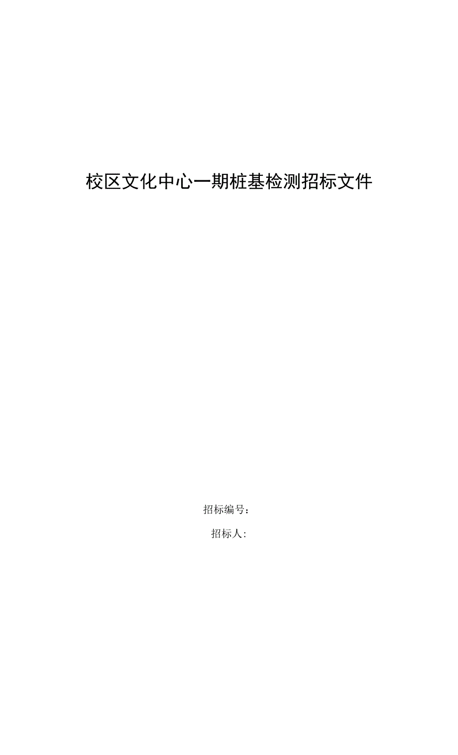 校区文化中心一期桩基检测招标文件.docx_第1页