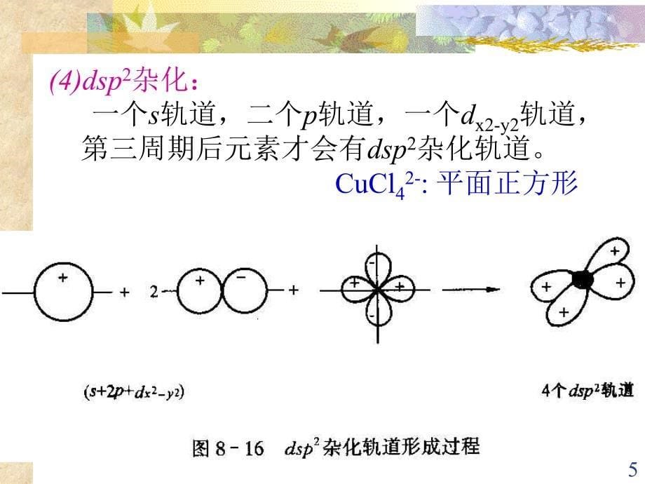 无机及分析化学：第八章 分子结构2_第5页