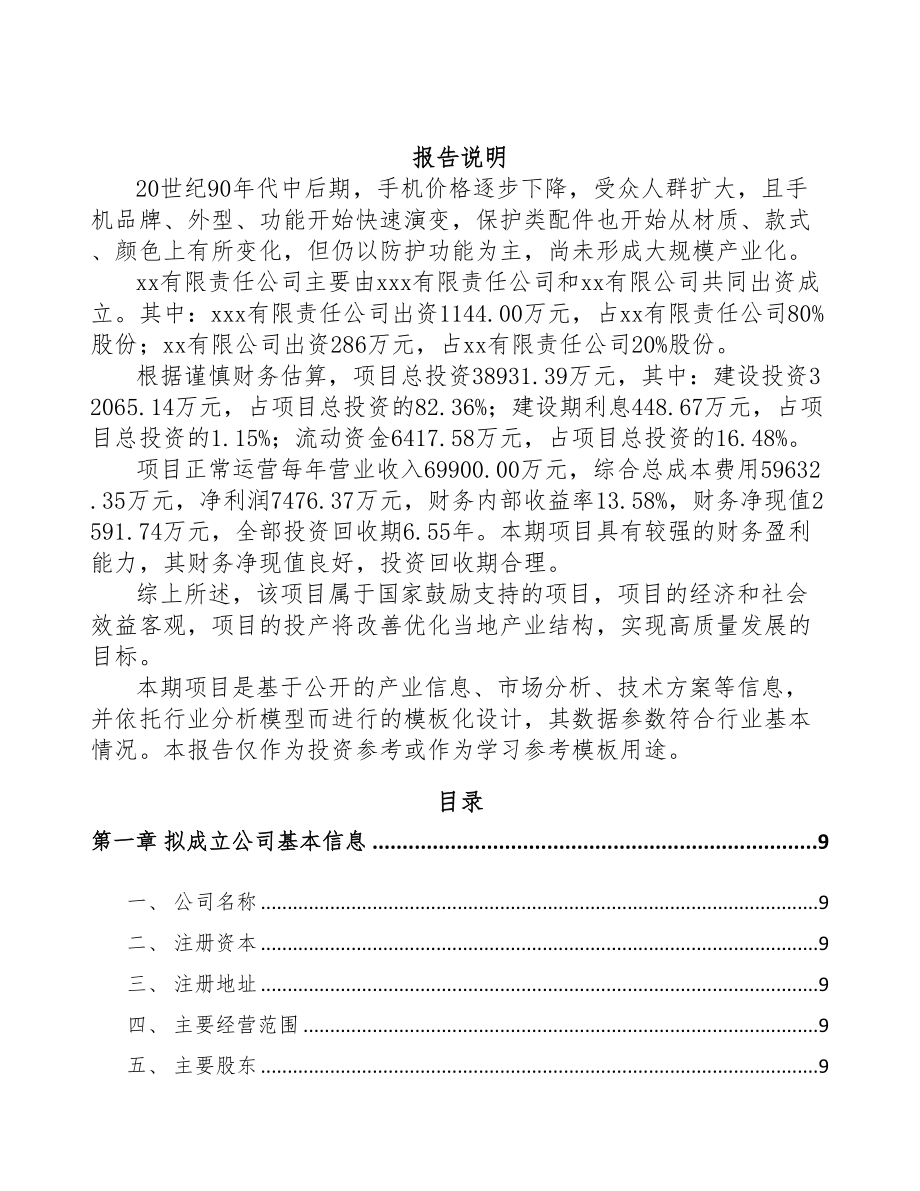 江西关于成立移动智能终端配件公司可行性研究报告(DOC 88页)_第2页