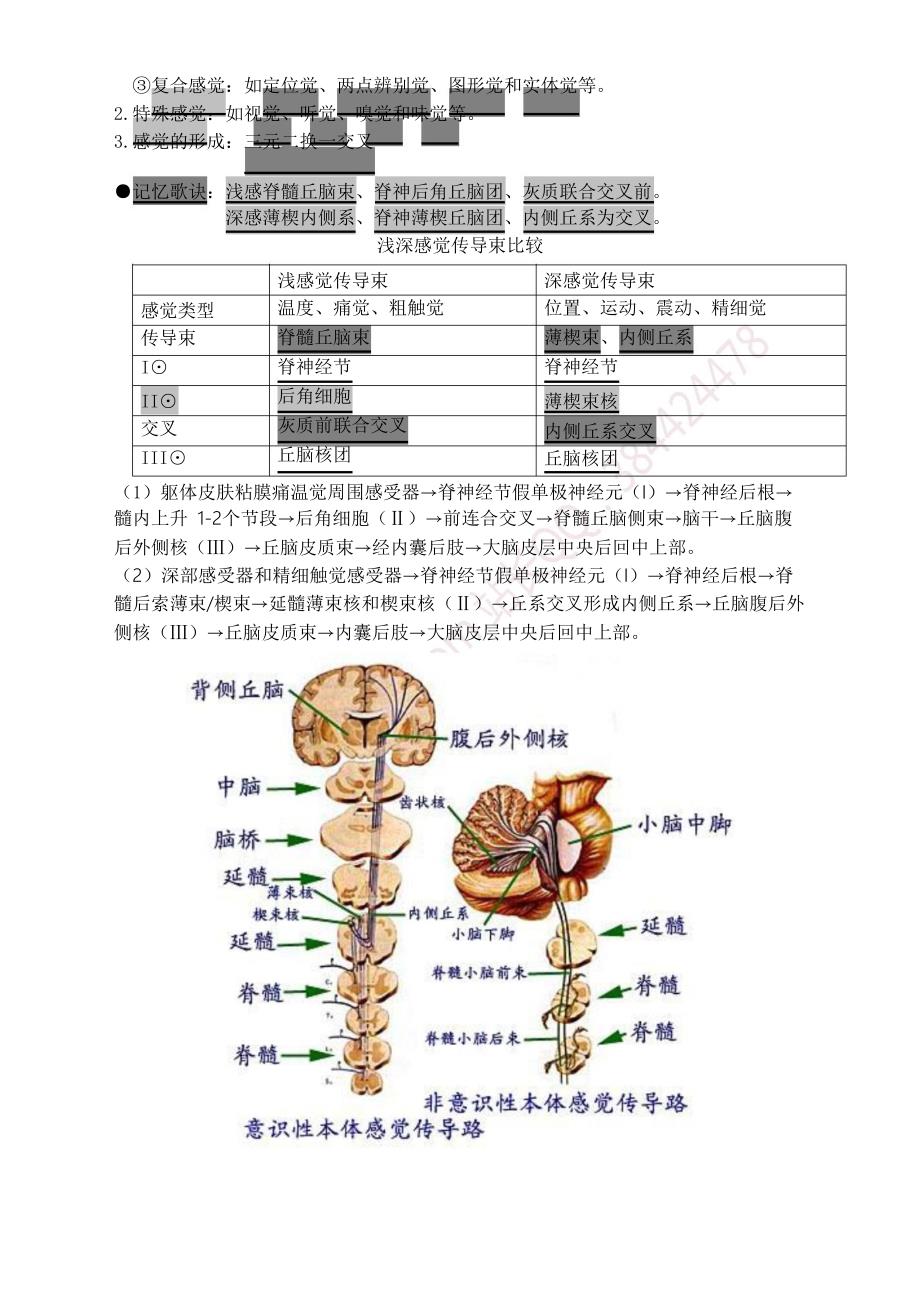 执业助理医师大苗精神神经笔记_第4页