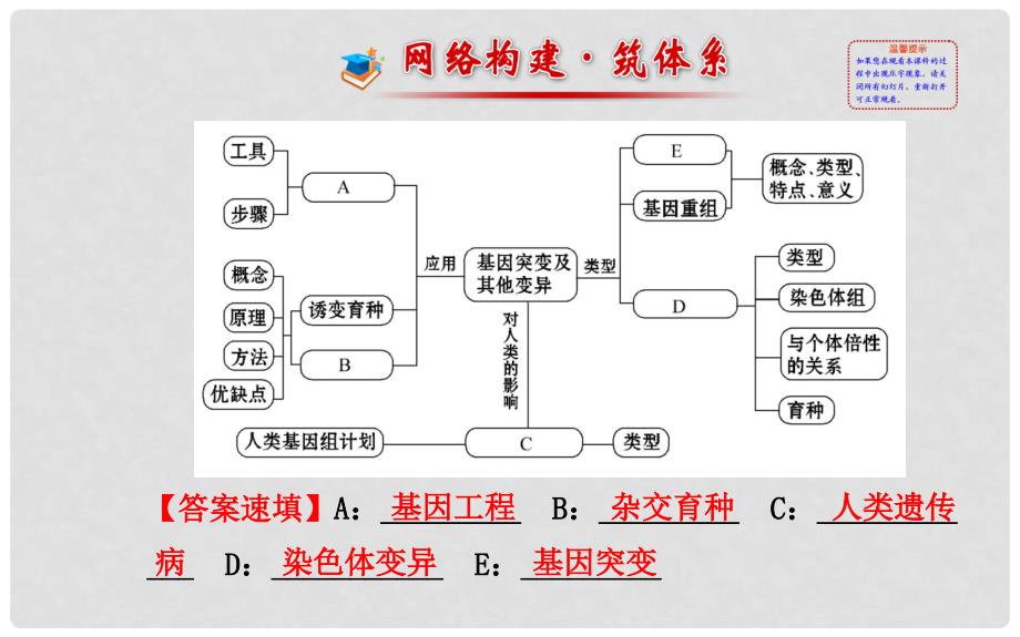 高中生物 第56章 从杂交育种到基因工程阶段复习课课件 新人教版必修2_第2页