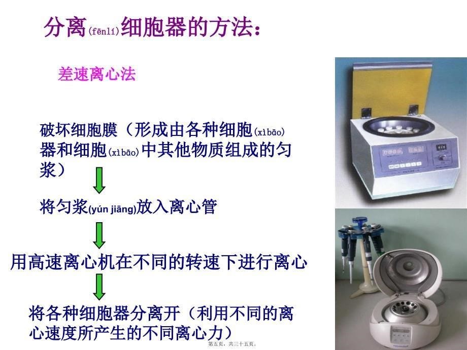 医学专题—上课《细胞器——系统内的分工合作》23219_第5页