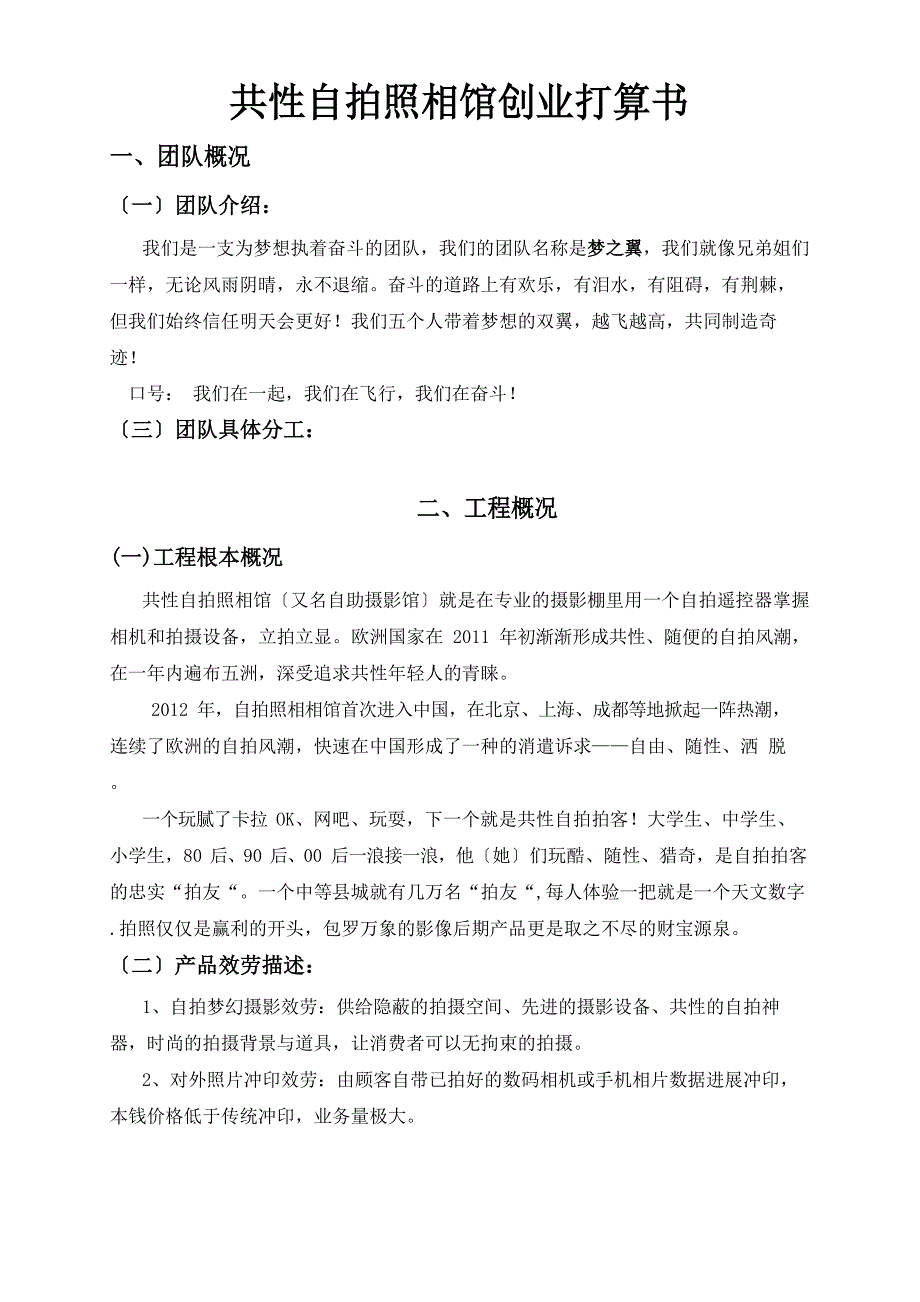 个性自拍照相馆创业计划书_第1页