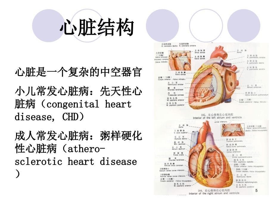 先天性心脏病诊断治疗ppt课件_第5页