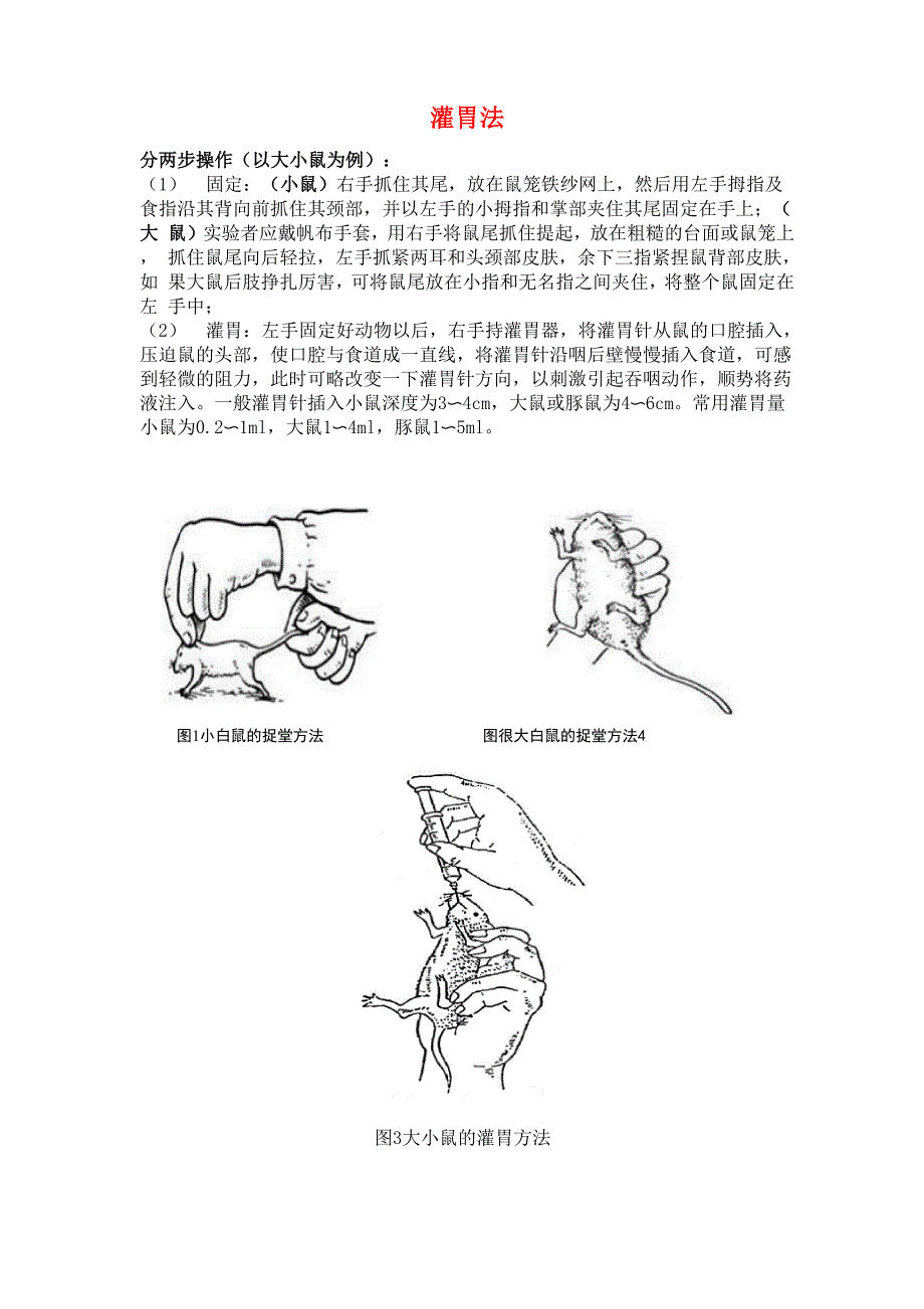 鼠类动物的固定和灌胃操作说明书_第1页
