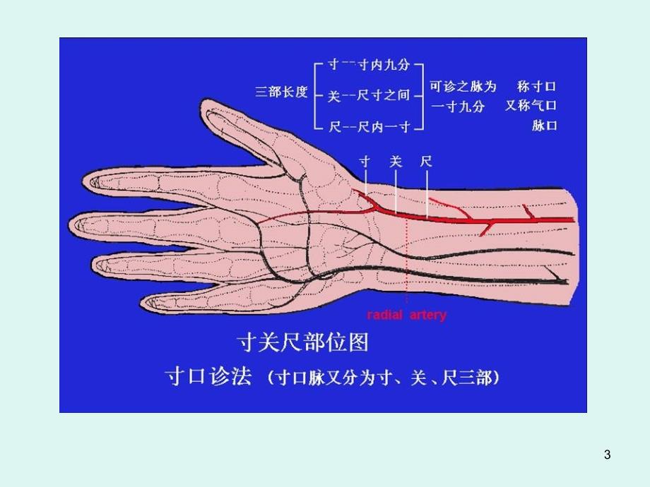 第四节切诊中医学基础_第3页