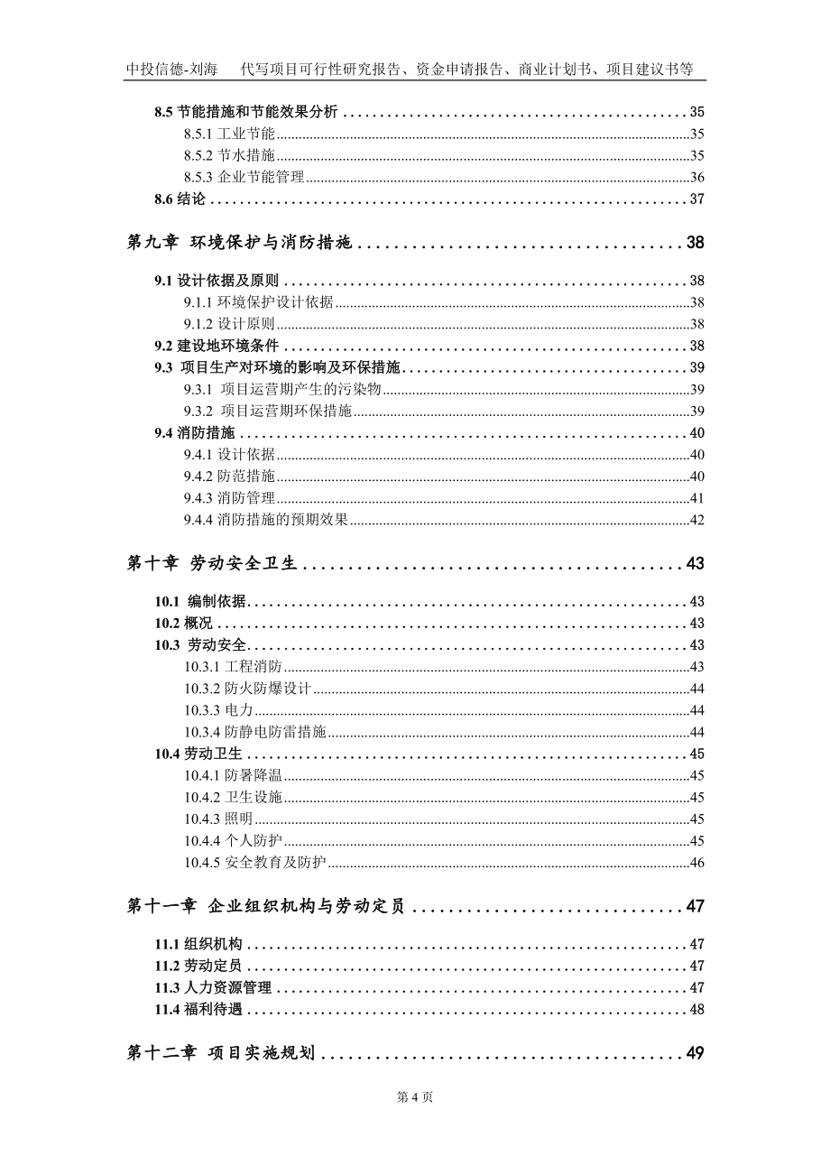 建设黑山铁矿纪营选厂扩建工程项目资金申请报告写作模板_第4页