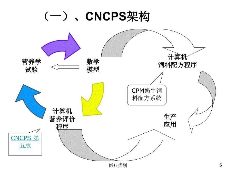 康奈尔净碳水化合物和蛋白体系[仅供参考]_第5页