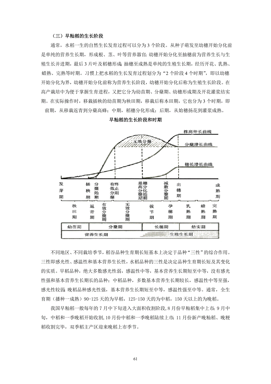 早籼稻现货基础知识.doc_第3页