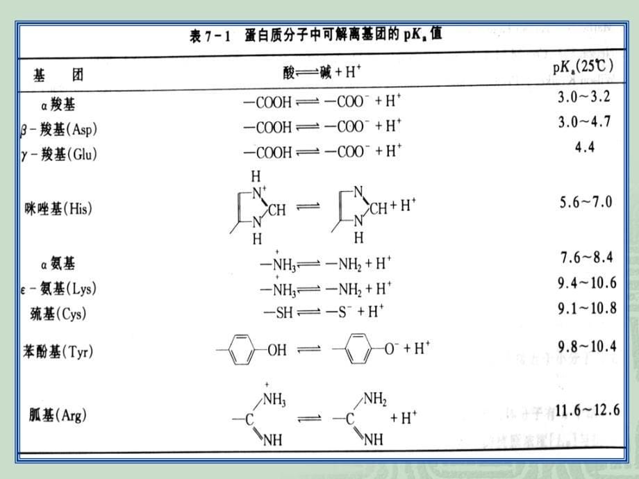 蛋白质的性质及分离和纯化_第5页