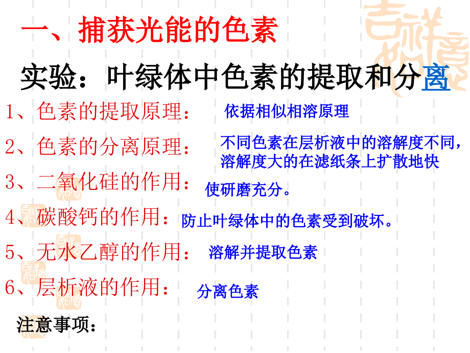 人教版教学课件光合作用的复习_第2页