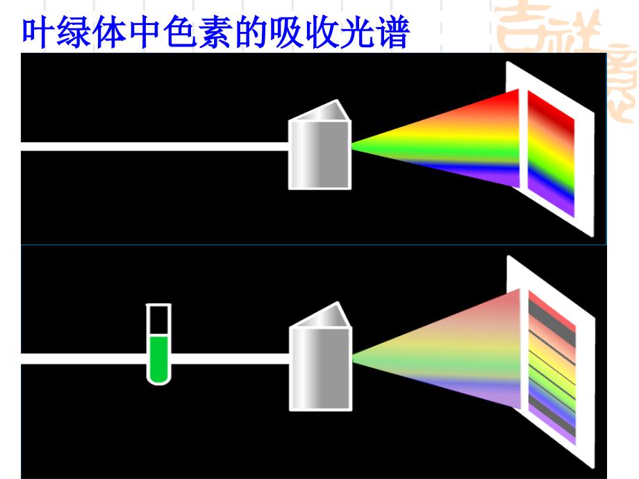 人教版教学课件光合作用的复习_第4页