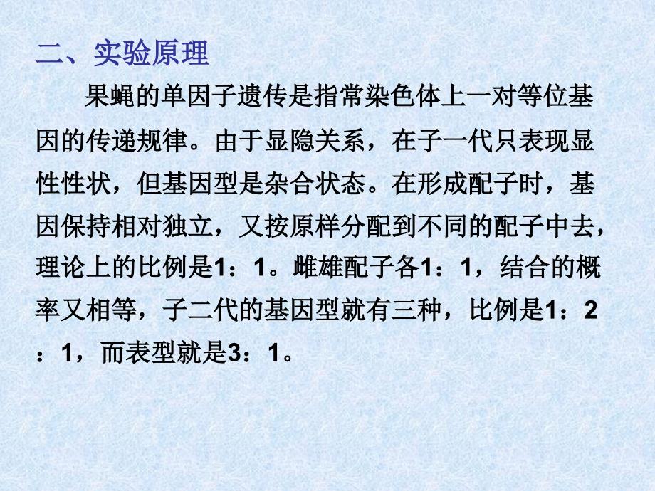 实验11果蝇的单双因子伴性遗传及三点试验杂交_第3页