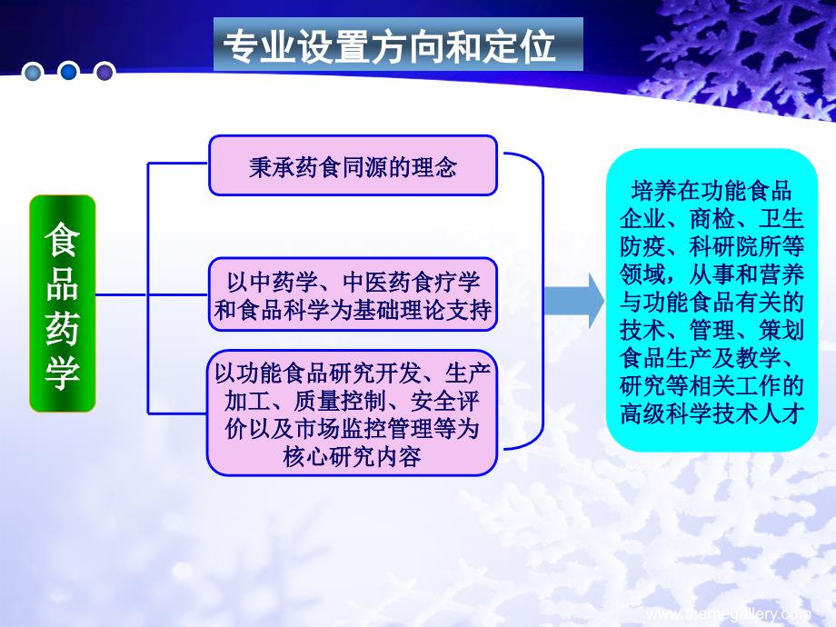 我国食品药学的建立与研究进展_第4页