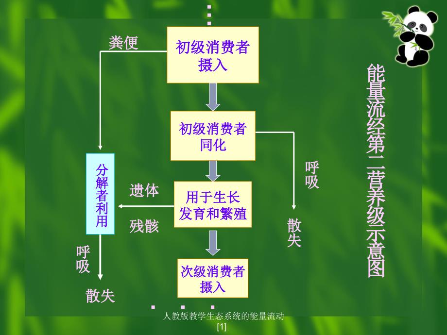 人教版教学生态系统的能量流动1_第4页