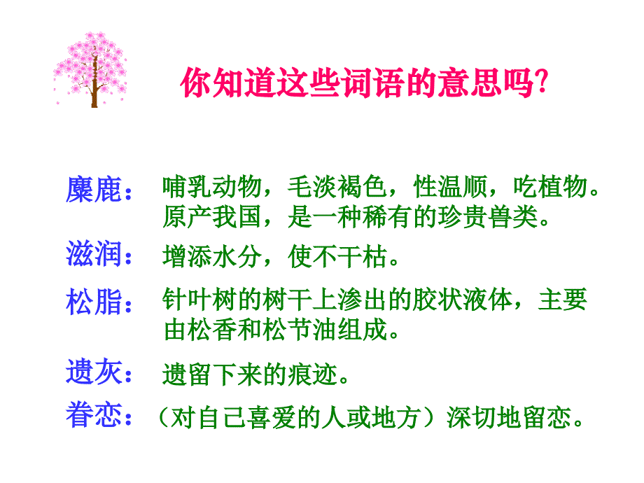 这片土地是神圣的完美版ppt课件_第3页