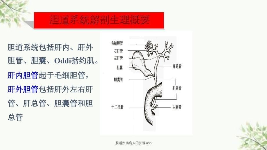 胆道疾病病人的护理luoh课件_第5页