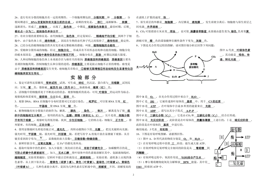 会考复习上传.doc_第2页