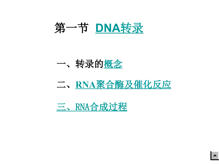 生物化学：第十章RNA生物合成_第4页