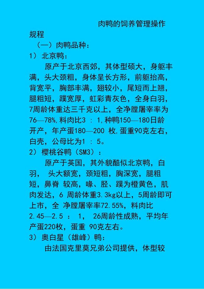 肉鸭的饲养管理操作规程