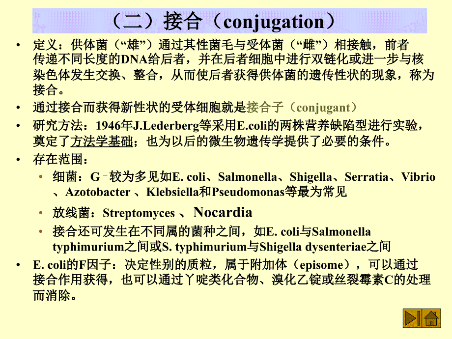 二接合conjugation课件_第1页