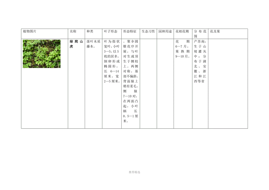 推荐-植物分类介绍——藤本植物_第1页